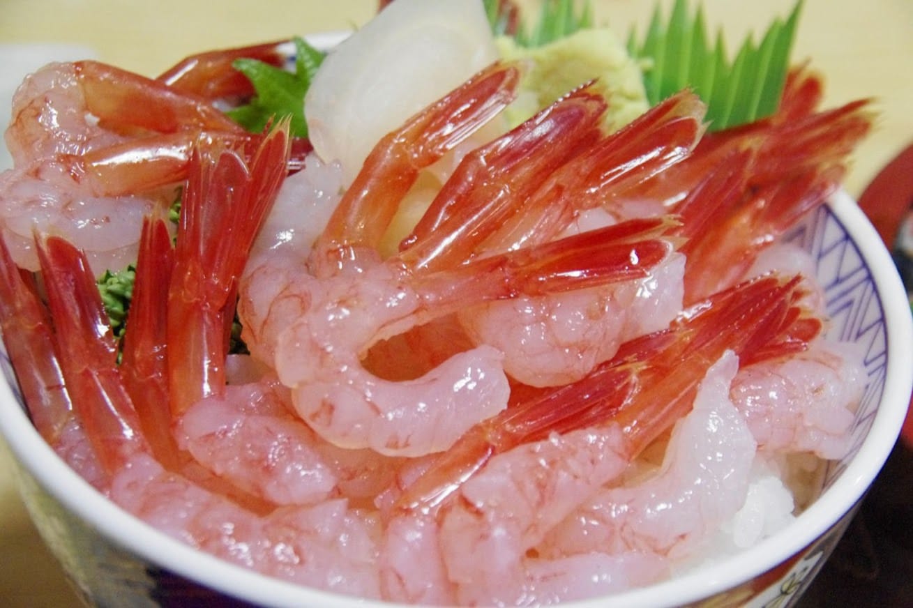 寿司のまつくら（増毛町）の甘エビ丼、特上生ちらしを堪能