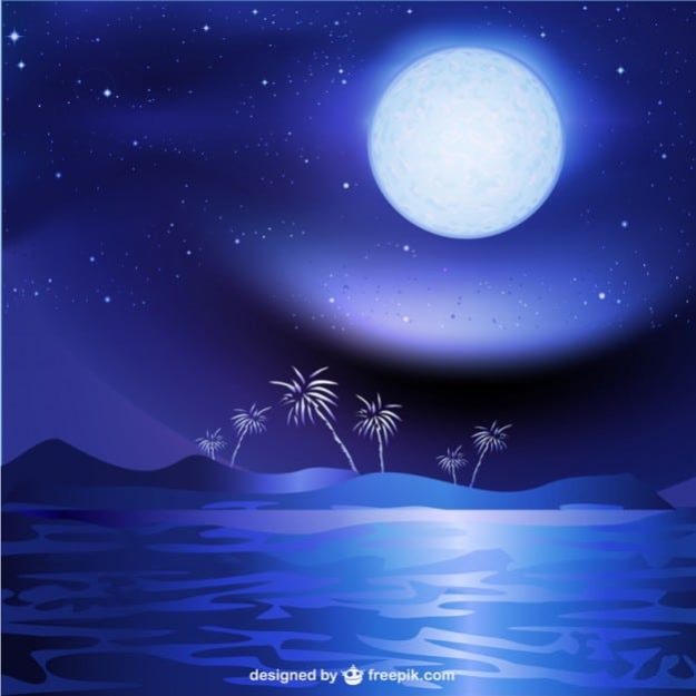 夜の海の月 freepik.com より参照
