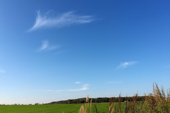 お空を泳ぐ狐の親子