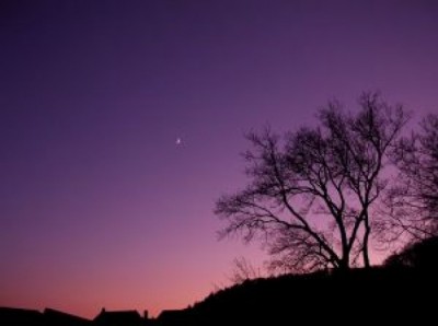 写真:Freepik