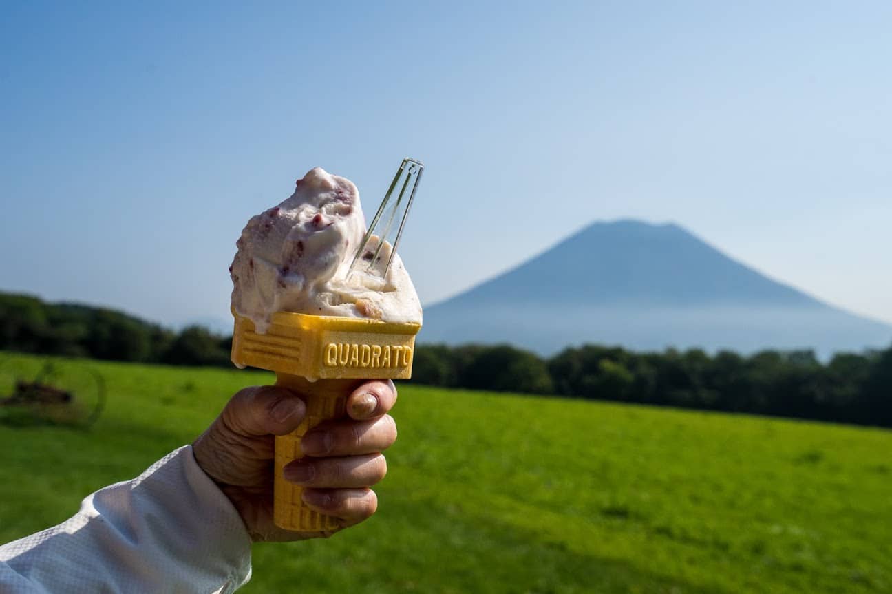高橋牧場 ニセコミルク工房（ニセコ町）ソフトクリーム・シュークリームを味わう