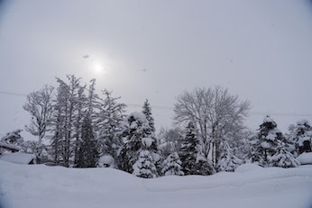 東風解凍（はるかぜこおりをとく）一候