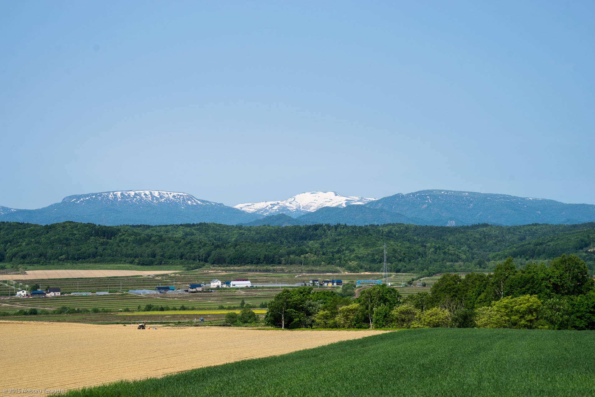 梅子黄（うめのみきばむ）二十七候