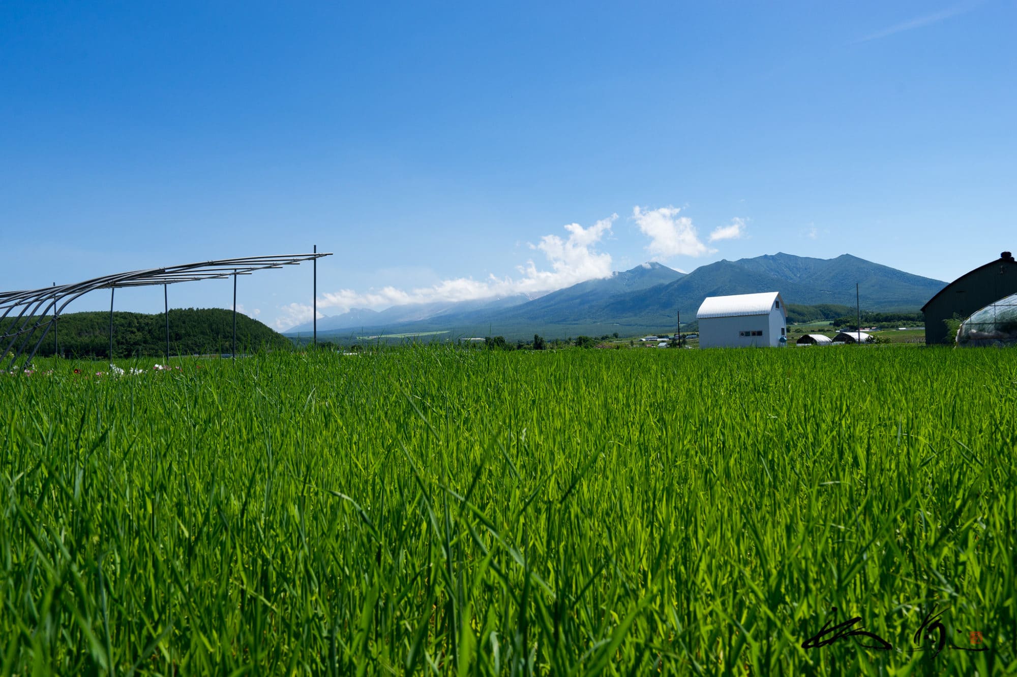 畑でレストラン：多田農園・老田弘基シェフ（上富良野町）2016