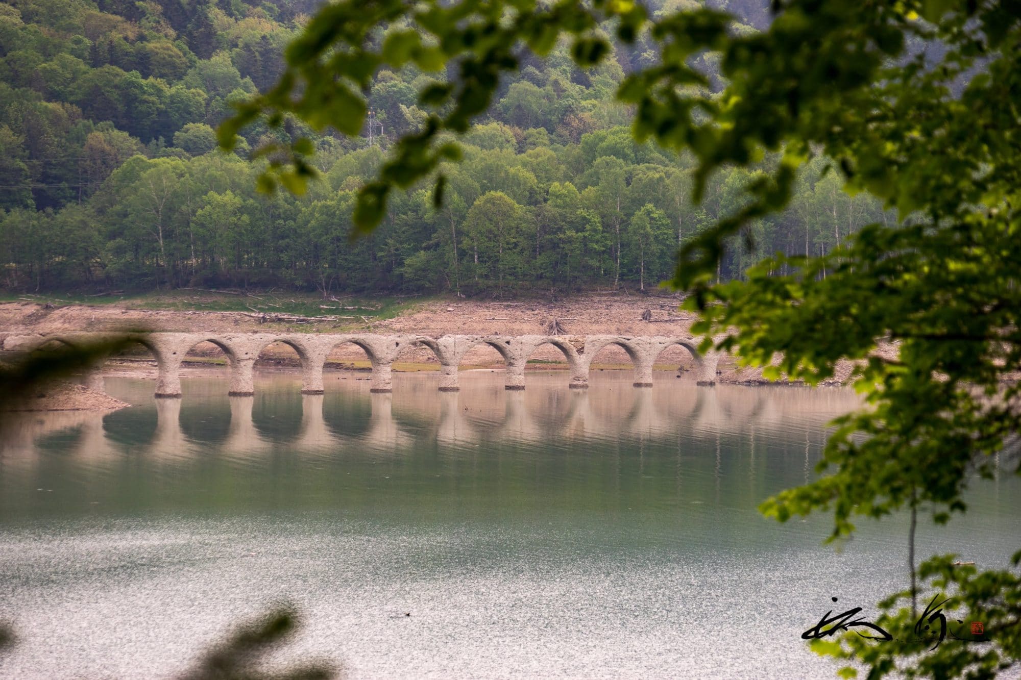 タウシュベツ川橋梁（上士幌町）６月の「めがね橋」