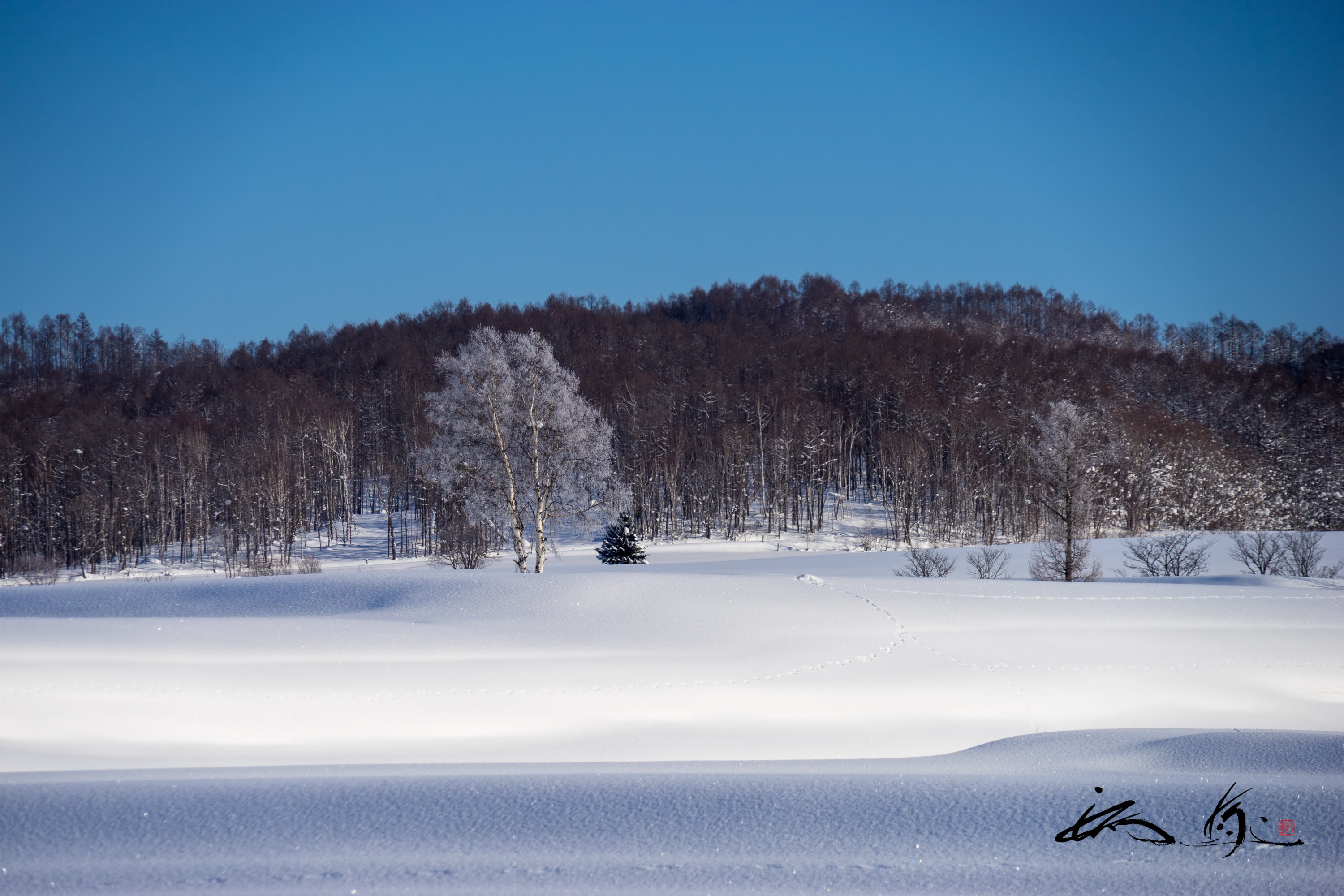 心安らぐ風景