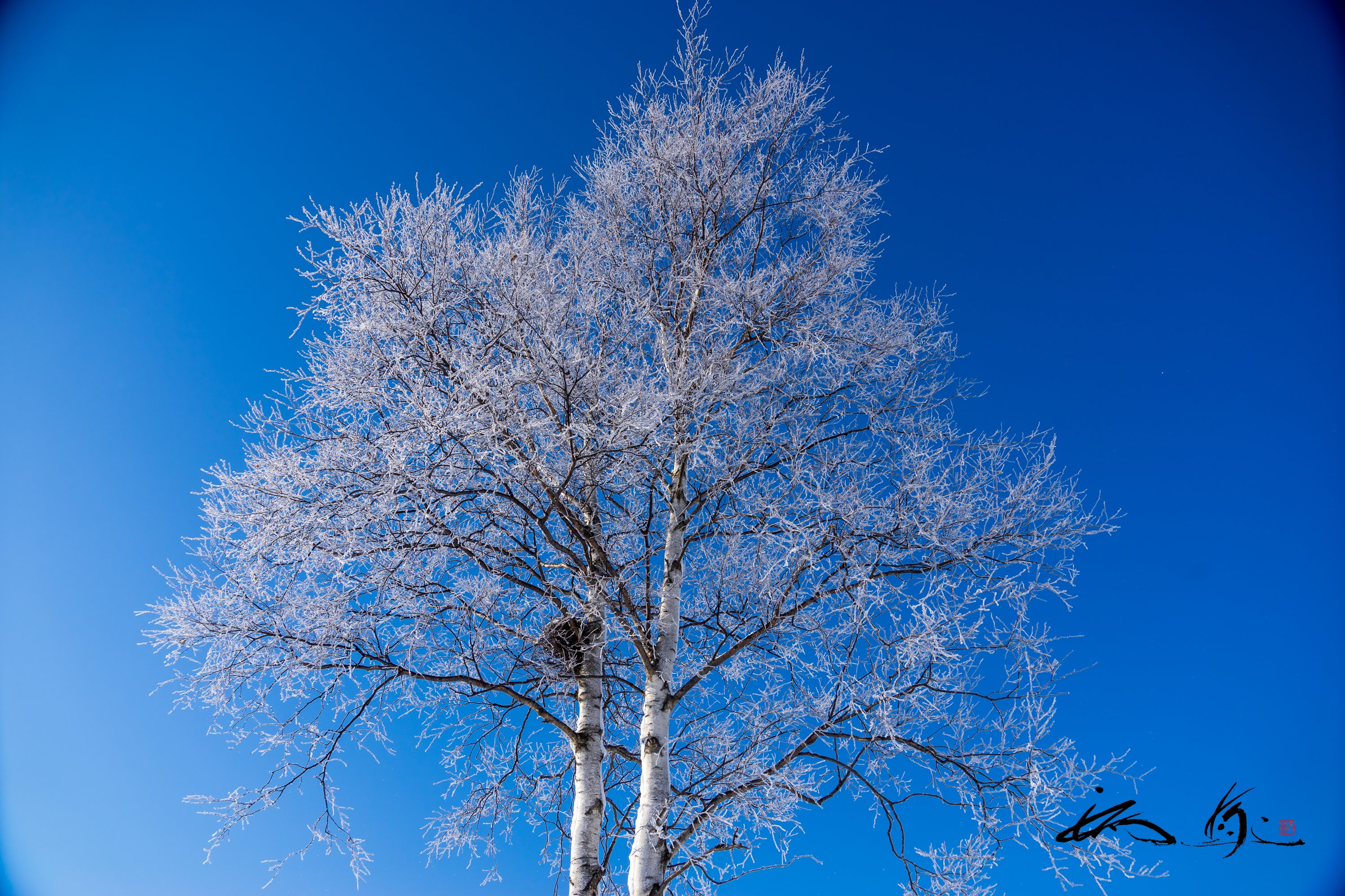 心安らぐ風景 エンジョイ シニア夫婦のハッピーライフ