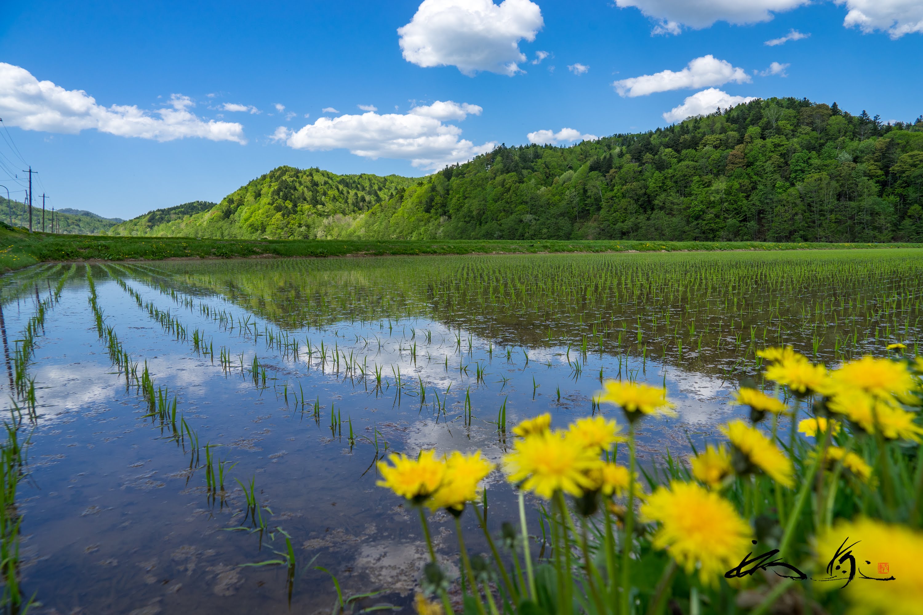 田畑を潤す神聖なる水流