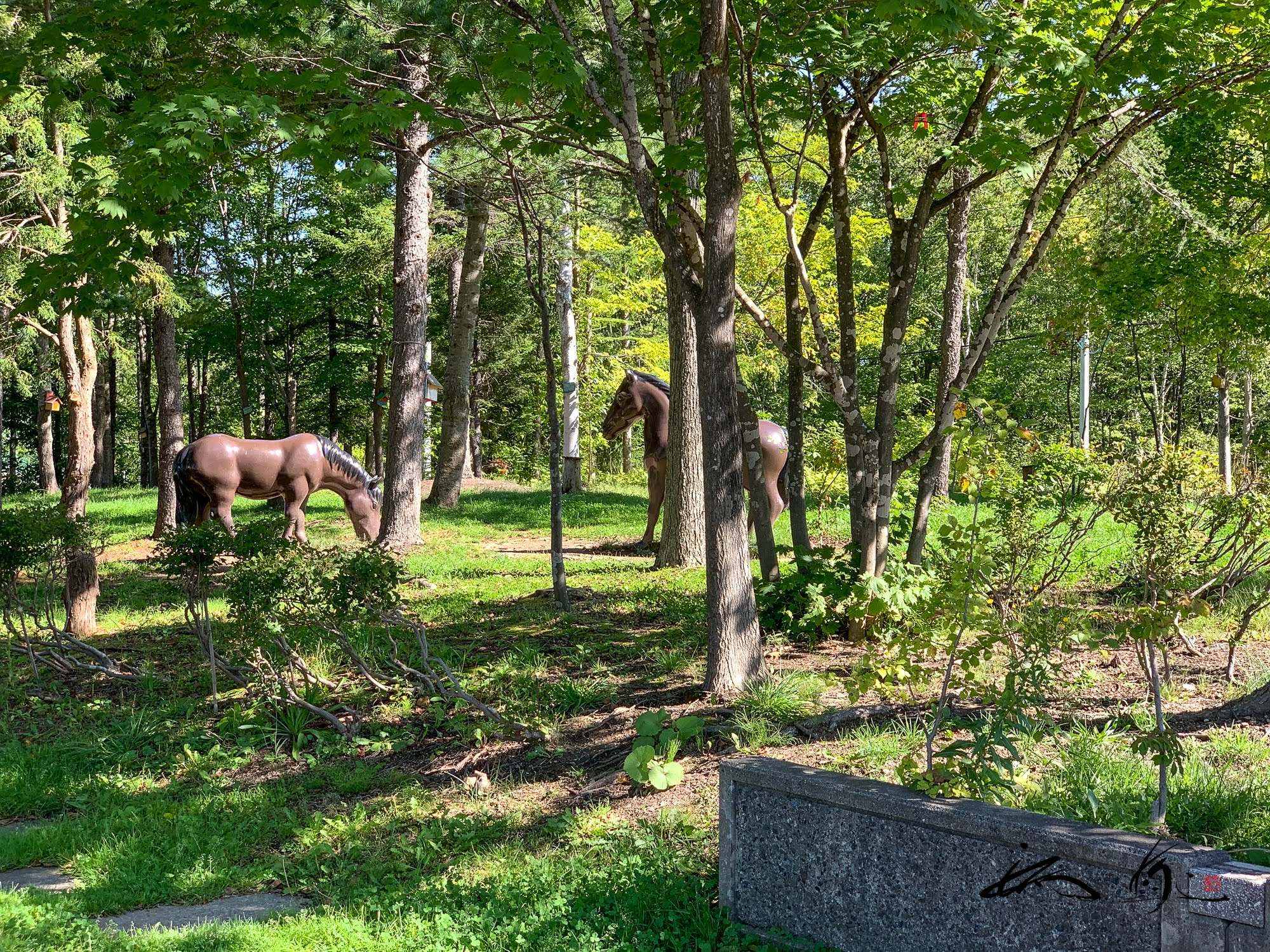 岩見沢ＳＡ（札幌方面）イングリッシュガーデン（岩見沢市）は道央自動車道の北海道ハイウェイガーデン