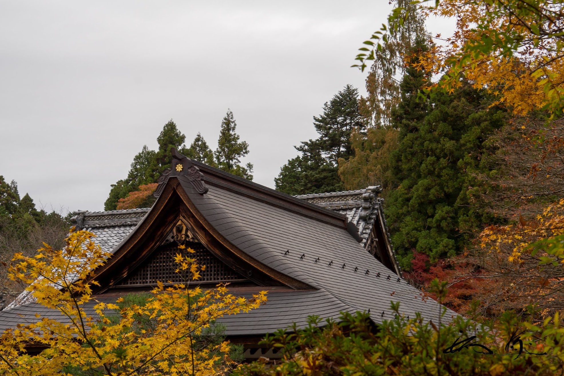 百済寺（ひゃくさいじ・滋賀県近江市）紅葉を愛で、赤こんにゃくの田楽を味わい、御朱印をいただく