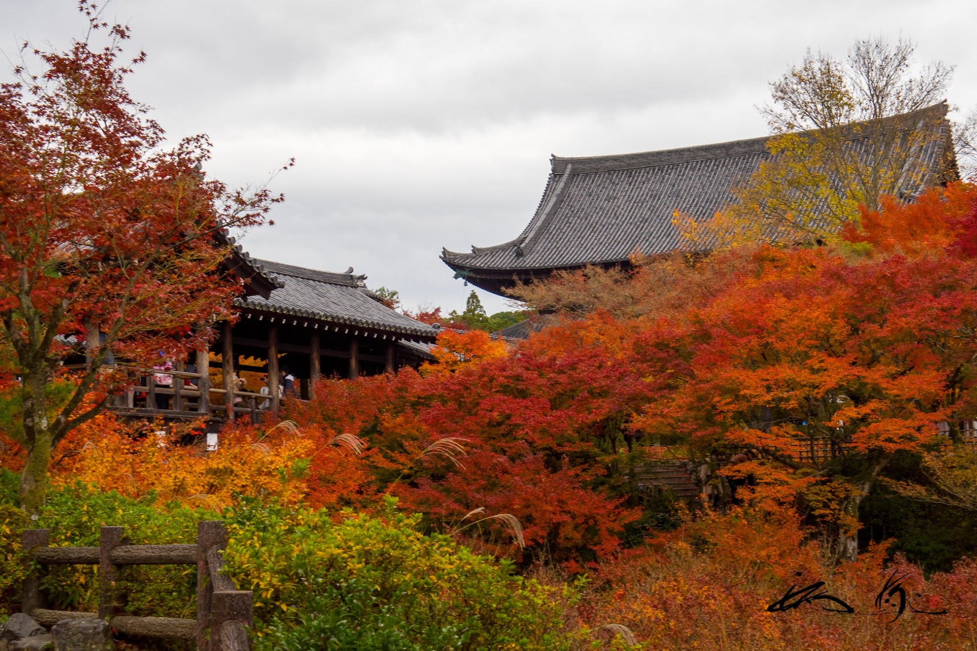 百済寺 ひゃくさいじ 滋賀県近江市 紅葉を愛で 赤こんにゃくの田楽を味わい 御朱印をいただく エンジョイ シニア夫婦のハッピーライフ