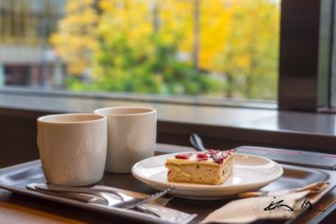 スターバックスコーヒー大同生命札幌ビル・ミレド2階店（Miredo・札幌市）クランベリーブリスバー ＆ クリスマスブレンドコーヒーを味わう