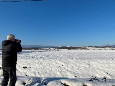 初冬の風景