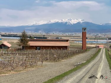カンパーナ六花亭 富良野市 サービスコーヒー 雪こんチーズを味わう エンジョイ シニア夫婦のハッピーライフ