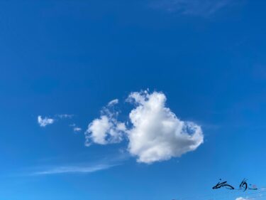 町を飾る可憐な花たち