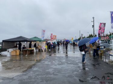 館鼻岸壁朝市（たてはながんぺきあさいち・青森県八戸市）毎週日曜日、夜明けから朝9時ごろまで営業