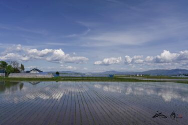 田んぼに映り込む空模様