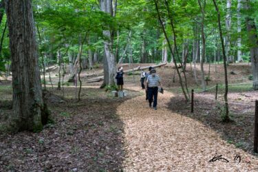 キウス周堤墓群（千歳市）気持ちの良い森林に縄文時代を想う