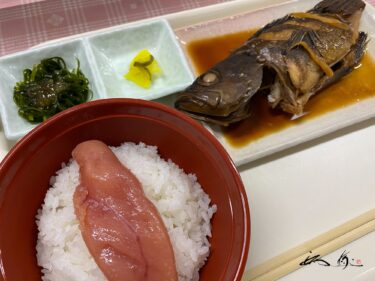 道の駅しかべ間歇泉公園（鹿部町）でランチ「プレミアムたらこ御膳」を味わう