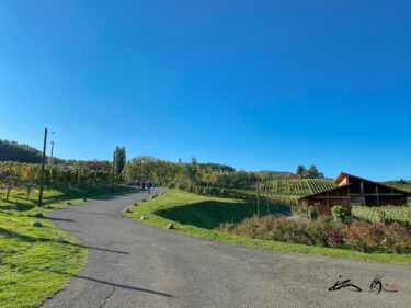 カンパーナ六花亭（富良野市）ぶどうソフトクリームを味わい、ギャラリー「神々の遊ぶ庭」で綿引幸造写真展を愛でる