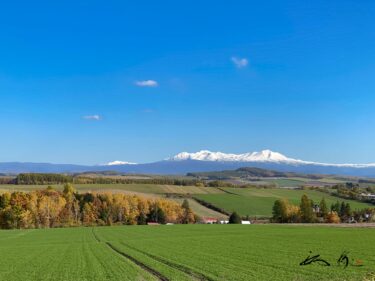 美瑛風景・白銀の旭岳に魅了されるひととき