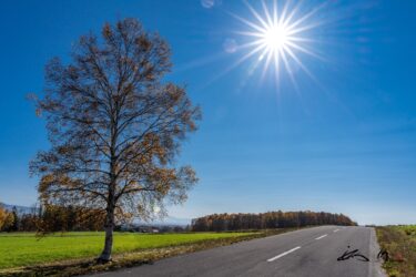 明日へと続く道
