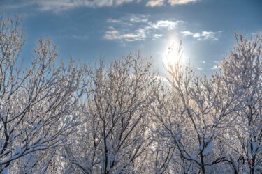 心にいつも光を！