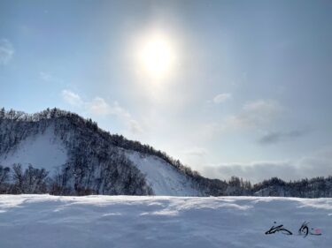 春の訪れを待ちわびる日々
