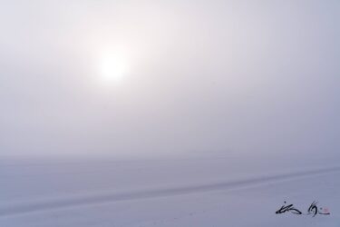 朝霧に霞むモノクロの世界